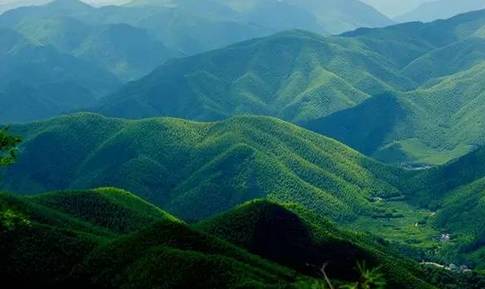 3486fa69e9bd66ea9cfafcf71a2559cc.jpg 3486fa69e9bd66ea9cfafcf71a2559cc.jpg