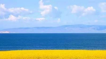 f58b9bfe16ffa84a517e4c327bcaec50.jpg f58b9bfe16ffa84a517e4c327bcaec50.jpg