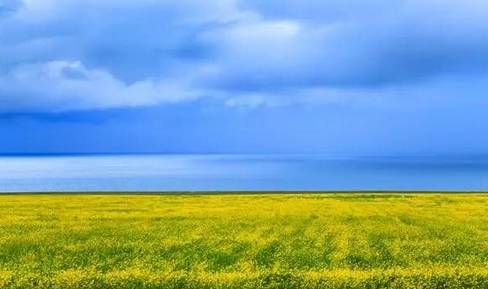 62cff42d282a7c3e35eb43eedfb36058.jpg 62cff42d282a7c3e35eb43eedfb36058.jpg