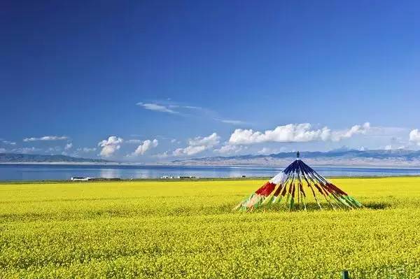 8bbf2f56f3ad3f533a888e5b28a1e076.jpg 8bbf2f56f3ad3f533a888e5b28a1e076.jpg