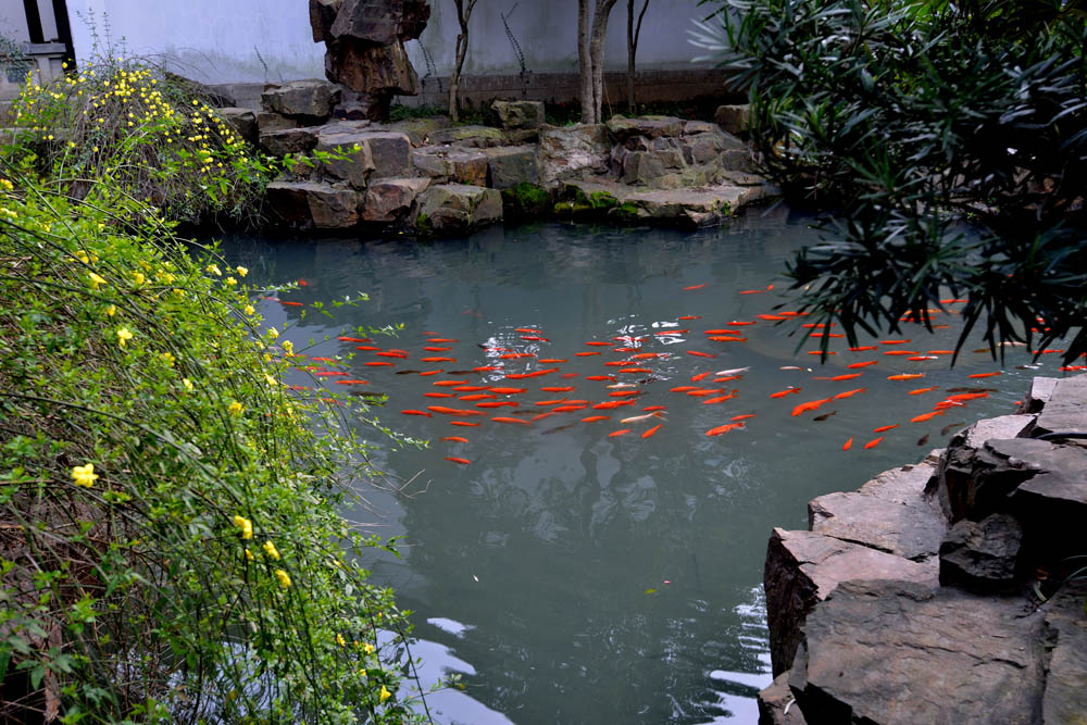 严家花园 (45).jpg