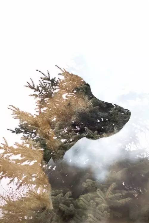 883f03de74043611a03e8909d71a618e.jpg 883f03de74043611a03e8909d71a618e.jpg