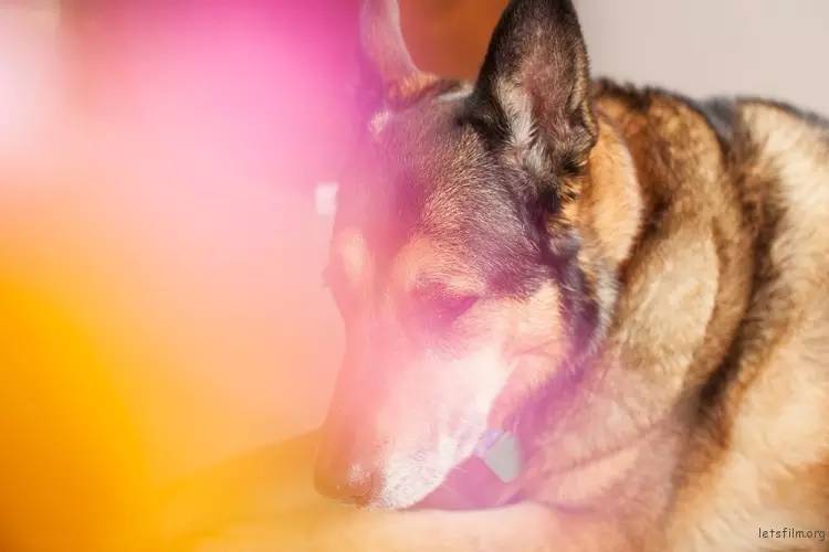 8b19fd09374f679e5bf0125b980b91eb.jpg 8b19fd09374f679e5bf0125b980b91eb.jpg