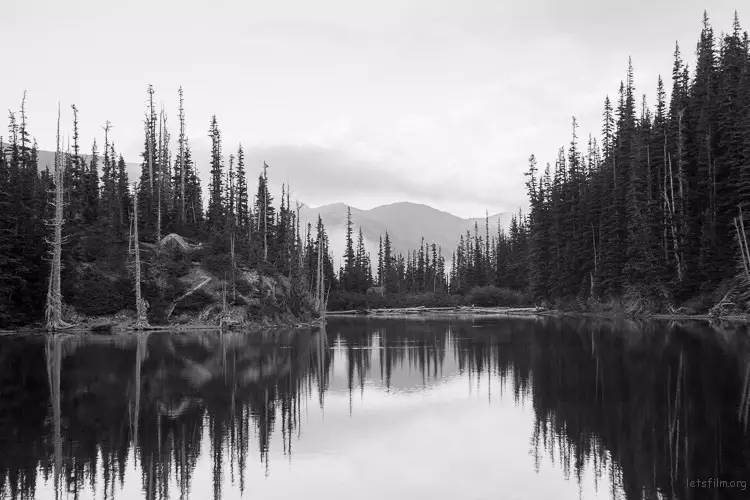 b5f2b46b9da01b4037def8258fb85fd7.jpg b5f2b46b9da01b4037def8258fb85fd7.jpg