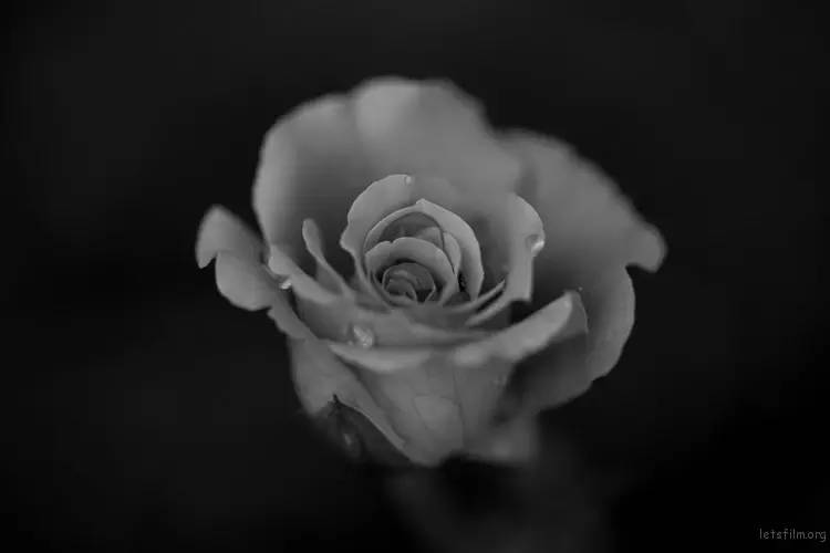 9c68734d329d8eb1a733496016273211.jpg 9c68734d329d8eb1a733496016273211.jpg