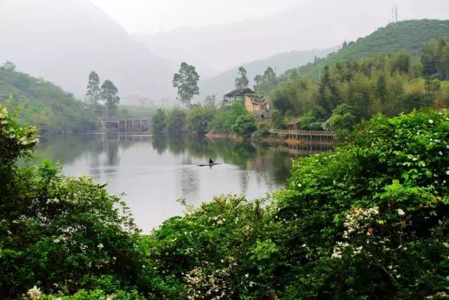 83c48ba0c41d4d2686791a3cdf13cce2.jpg 83c48ba0c41d4d2686791a3cdf13cce2.jpg