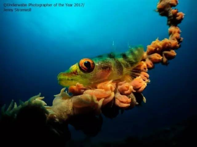 3acaf76839bb463eed41c4a88f1572b6.jpg 3acaf76839bb463eed41c4a88f1572b6.jpg