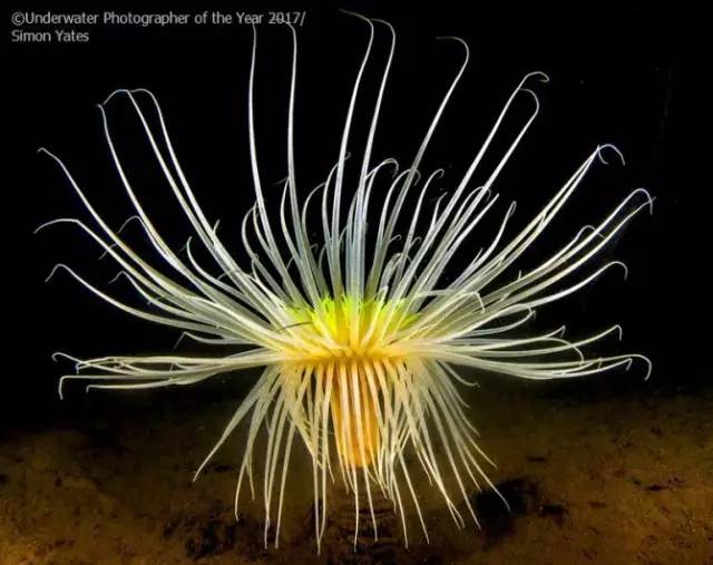 f1144bd3dfd85c36b83da728c159ee02.jpg f1144bd3dfd85c36b83da728c159ee02.jpg