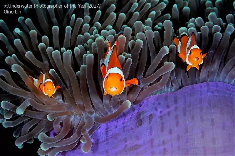 558eecb827191130c30e05d39640ba54.jpg 558eecb827191130c30e05d39640ba54.jpg