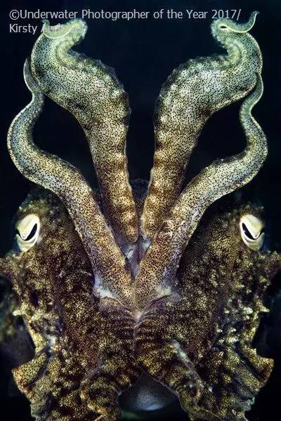 80df154cfd1fea8c1bc2c95ad8f48483.jpg 80df154cfd1fea8c1bc2c95ad8f48483.jpg