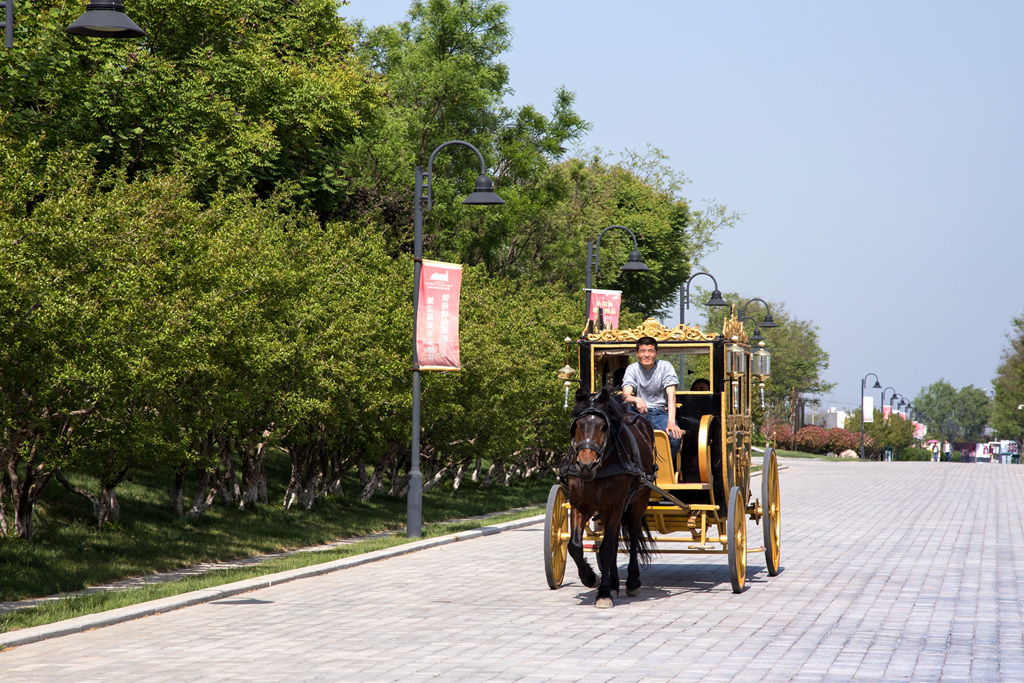 IMG_3002-1_副本_副本.jpg