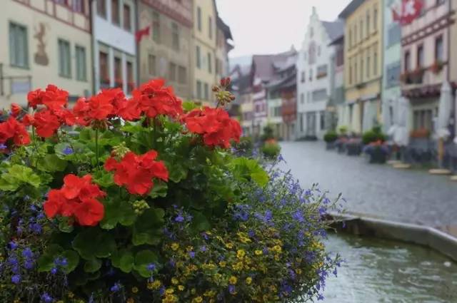 4792d1de065e7ed1ee7ed23b3e2d9c36.jpg 4792d1de065e7ed1ee7ed23b3e2d9c36.jpg