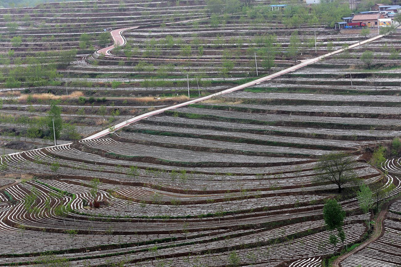 IMG_7686_副本.jpg