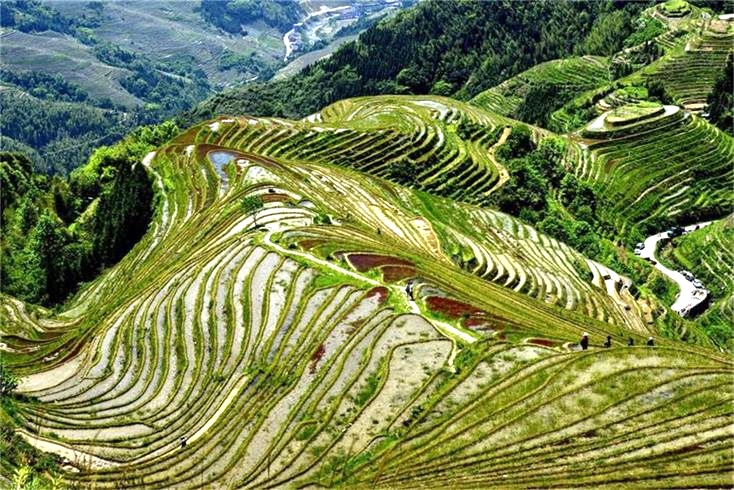 1209_看图王.jpg