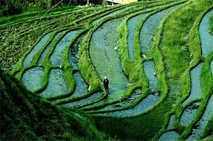 649_看图王.jpg