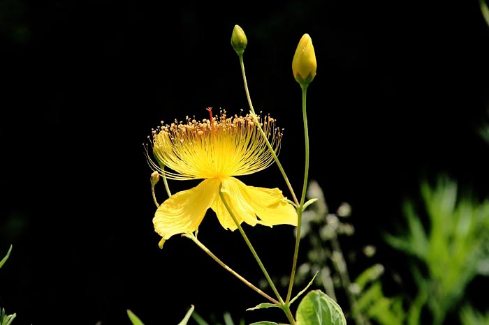 JPEG Digital Camera_2338.jpg