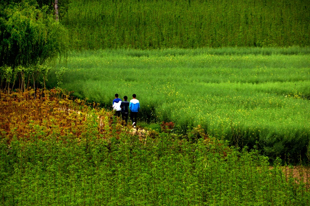 在路上之二 (2).jpg