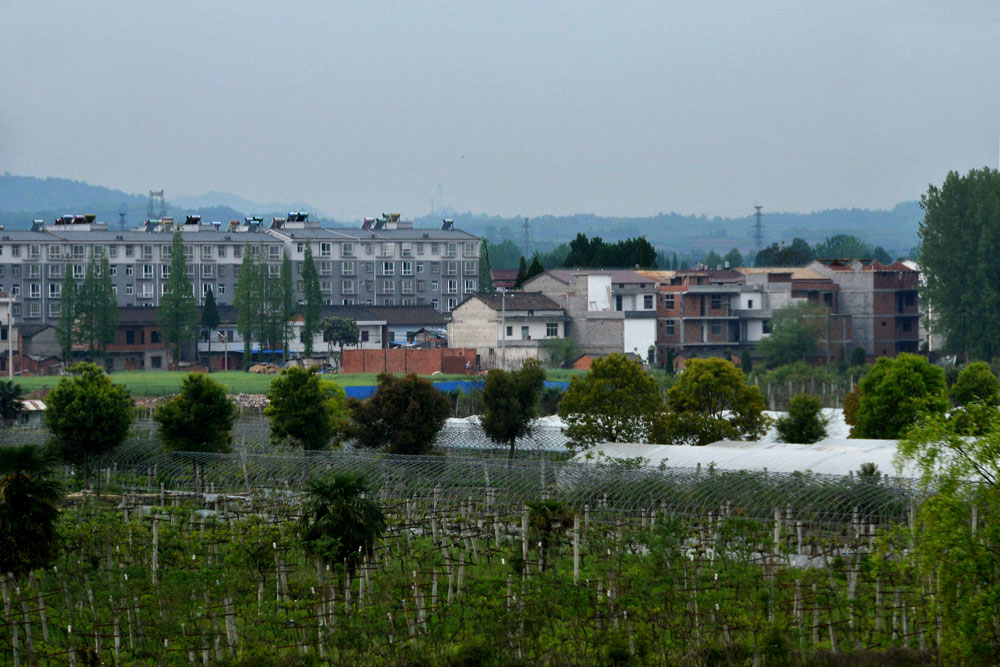 在路上之二 (4).jpg