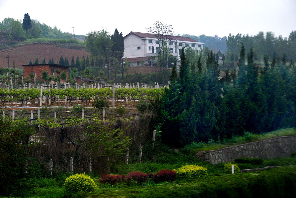 在路上之二 (8).jpg