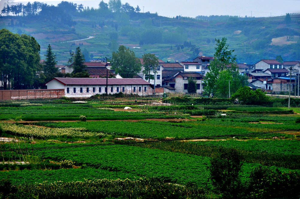 在路上之二 (10).jpg