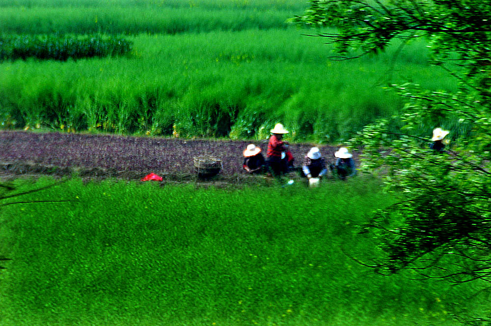 在路上之二 (12).jpg