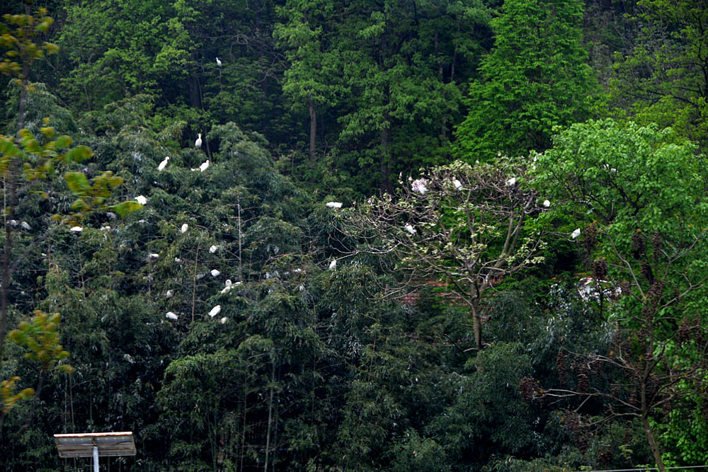 在路上之二 (14).jpg