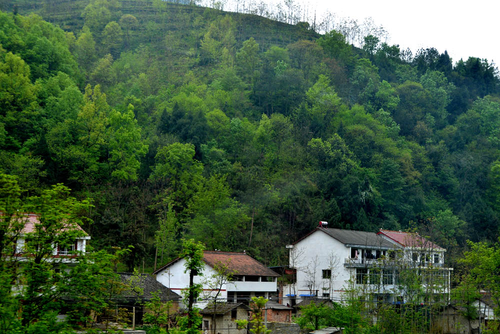 在路上之二 (18).jpg