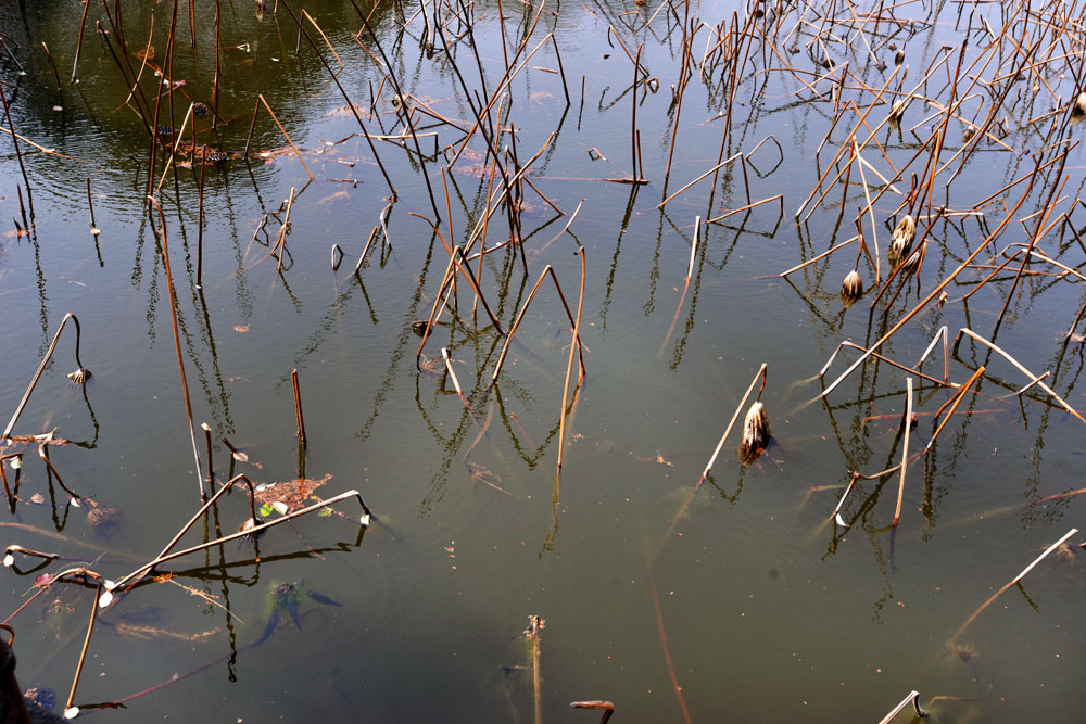 南浔古镇 (17).jpg