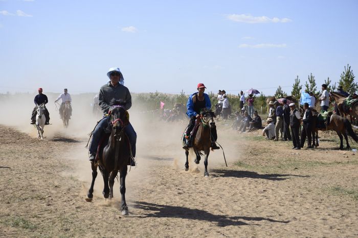 走马比赛