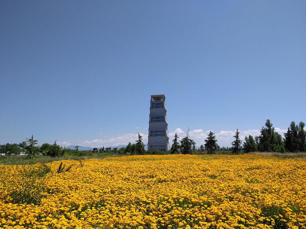 DSC_0880.jpg