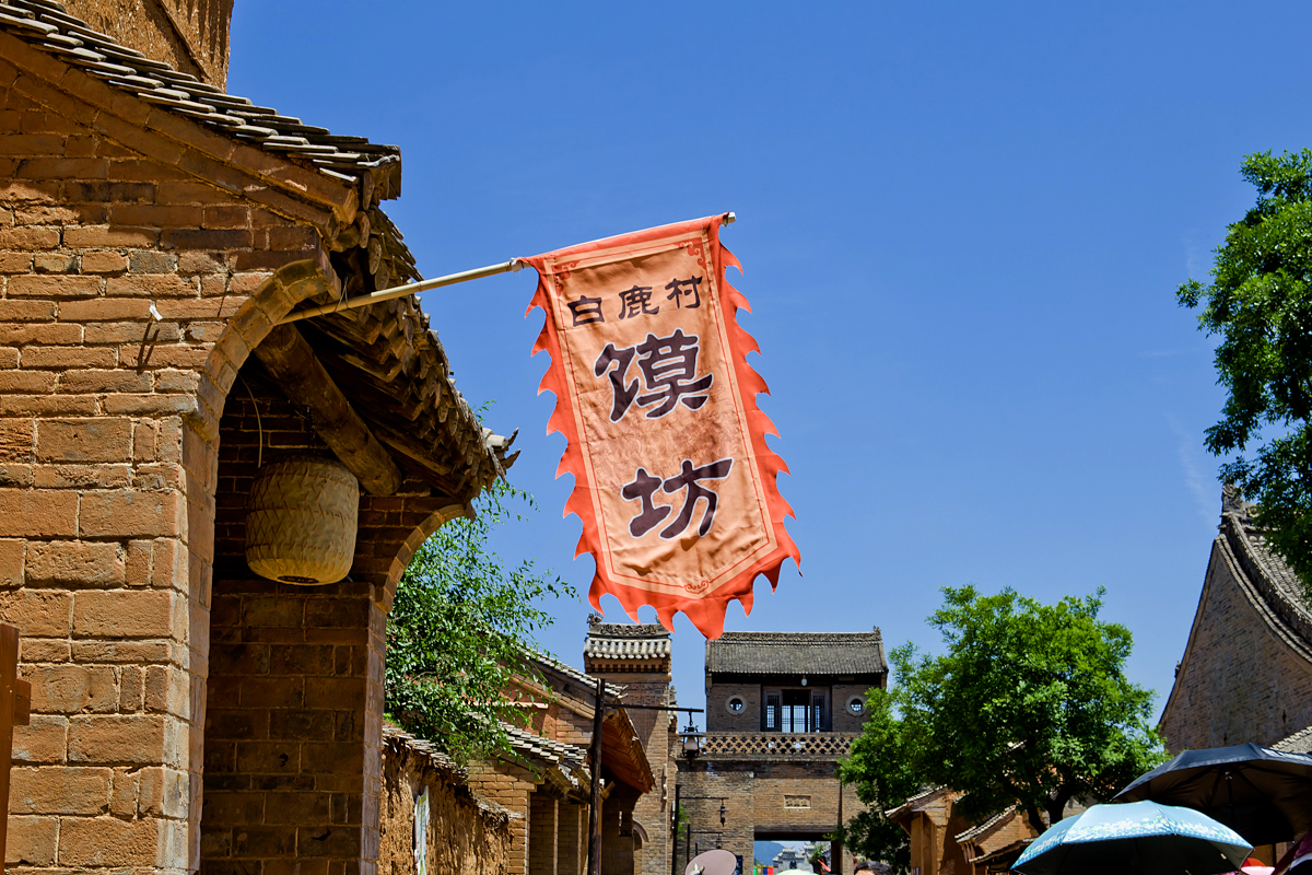 _MG_2236.jpg