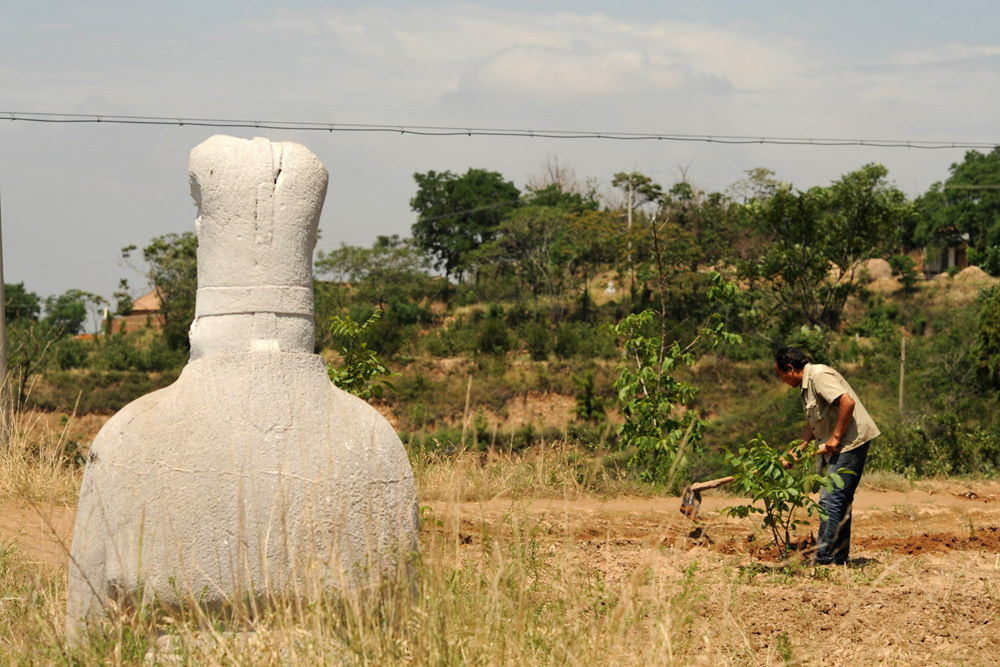 D7B_6881.jpg