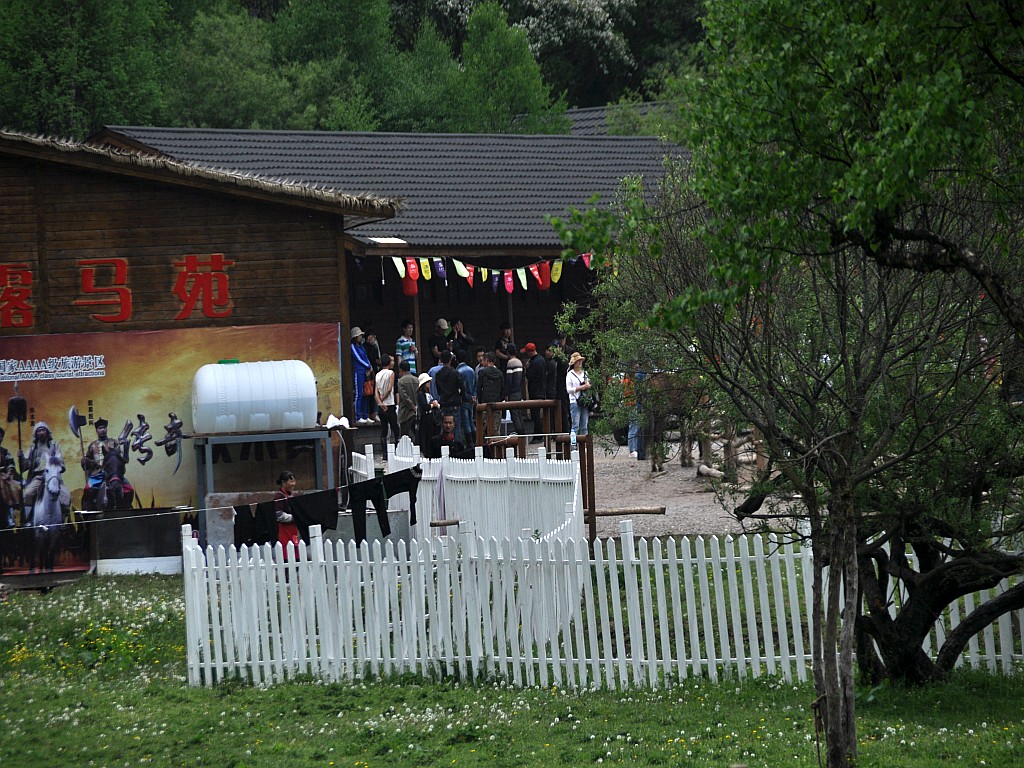 DSC_0218_conew1.jpg