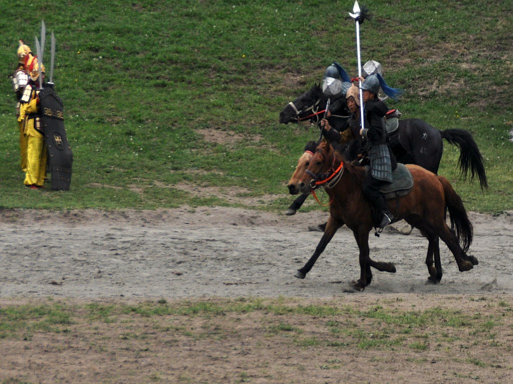 DSC_0410_conew1.jpg