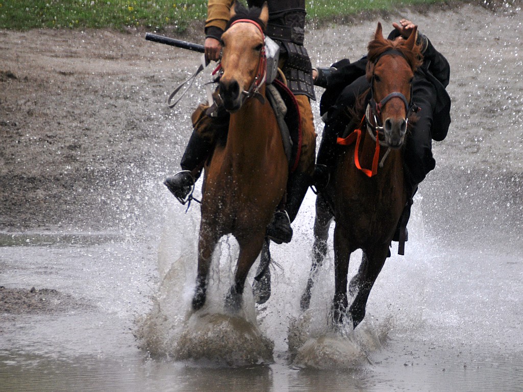 DSC_0412_conew1.jpg