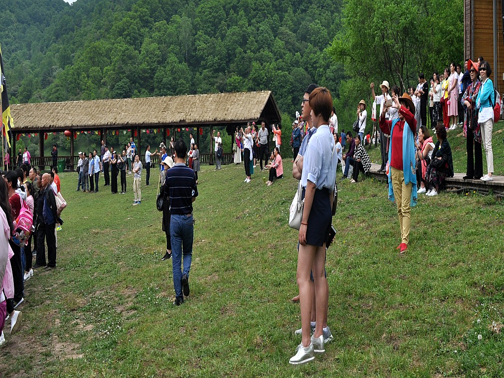 DSC_0440_conew1.jpg
