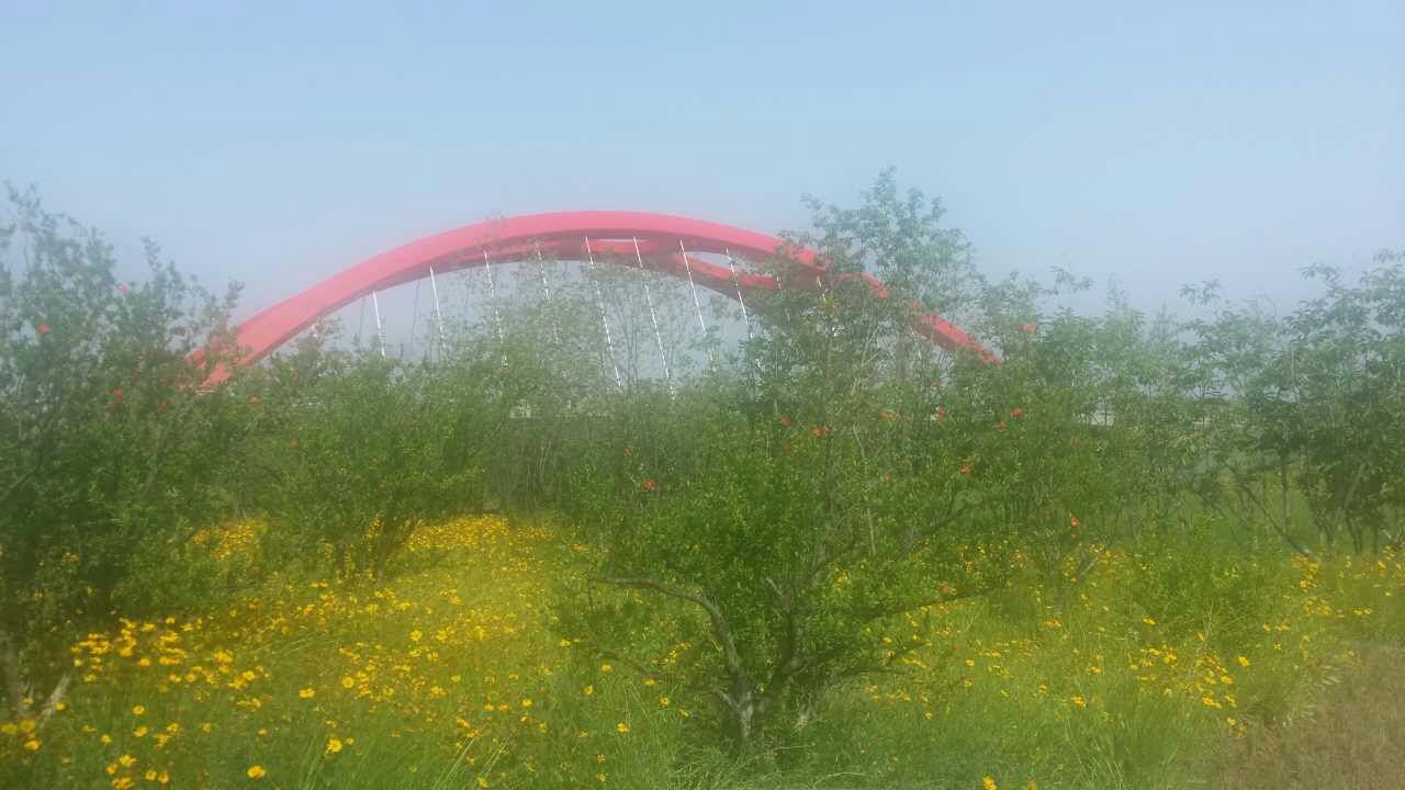 mmexport1496204821845.jpg