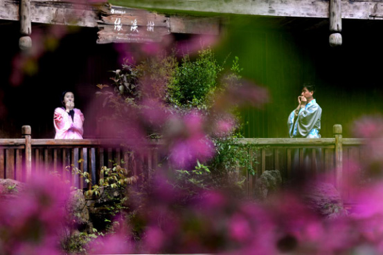 图片7.jpg 图片7.jpg