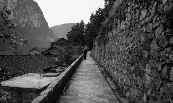 图片22.jpg 图片22.jpg