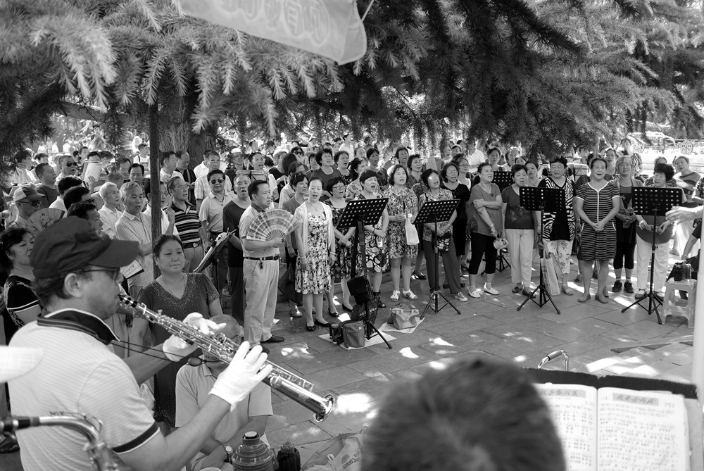 L1049685.jpg