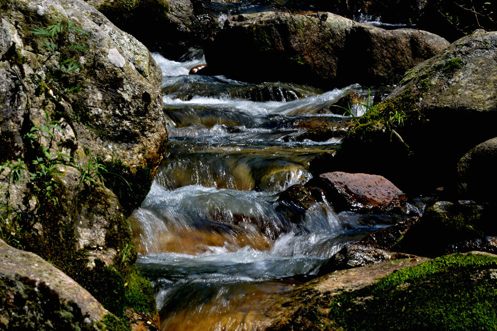 D4A_6609.jpg