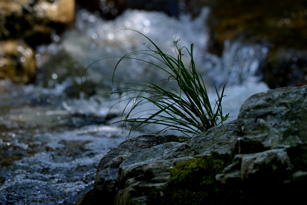 D4A_6620.jpg