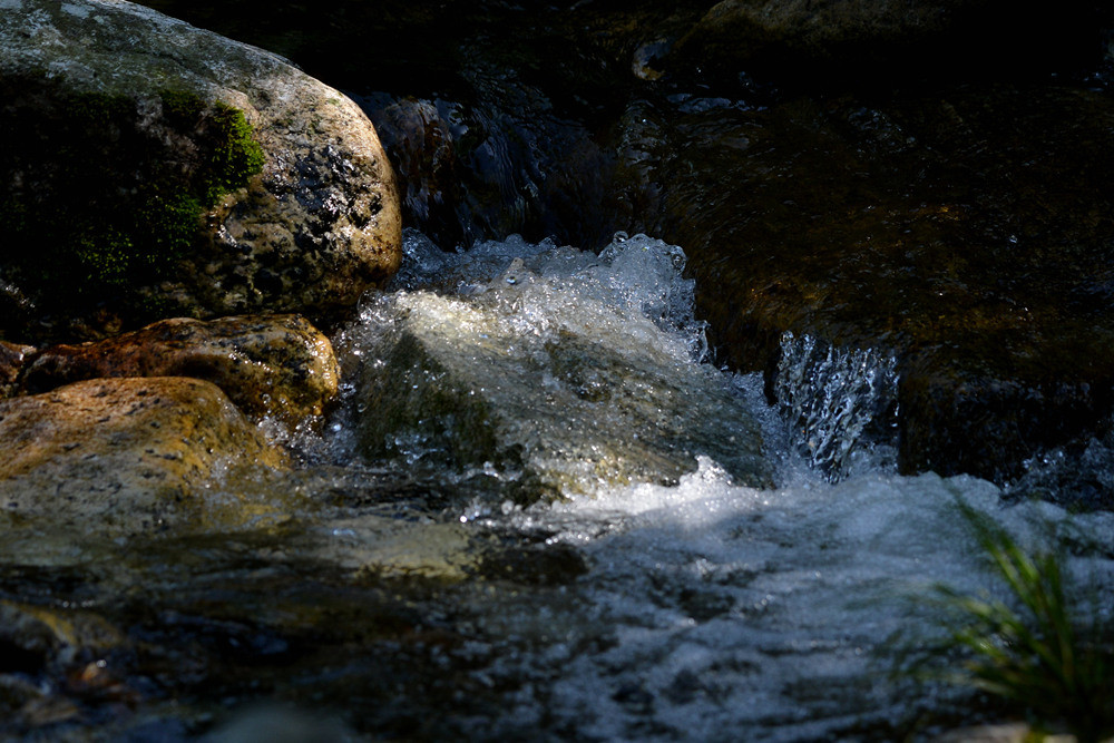 D4A_6755.jpg