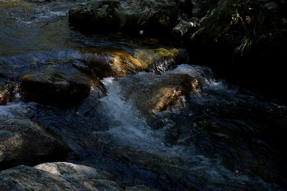 D4A_6649.jpg