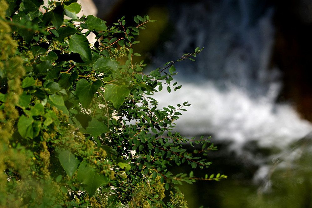 D4A_6836.jpg