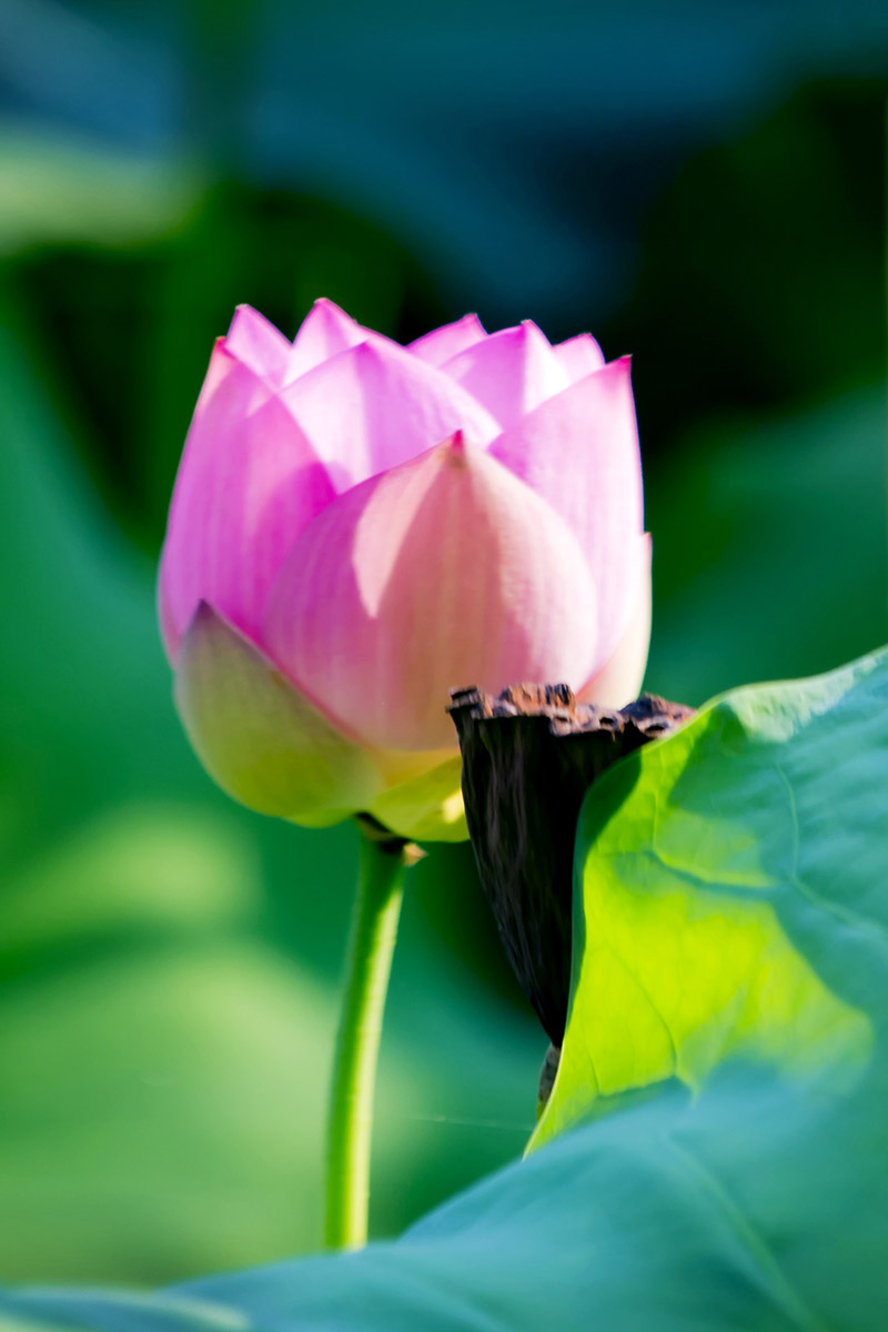 AR4A8912 A 拷贝.jpg