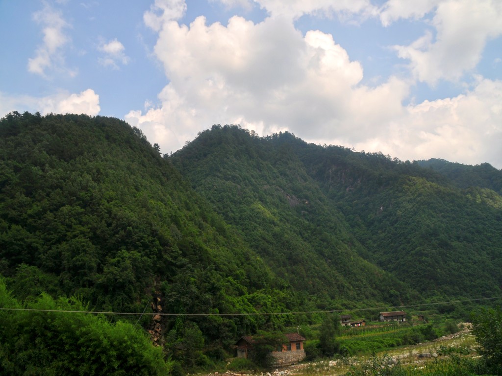 DSC_0103_conew1.jpg
