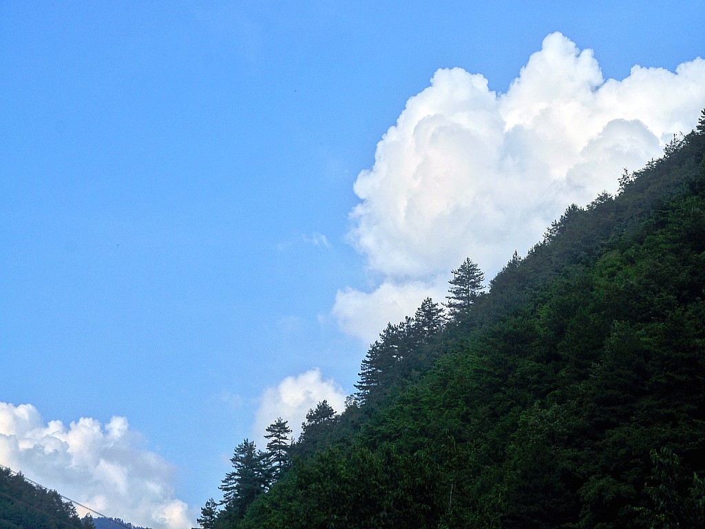 DSC_0115_conew1.jpg