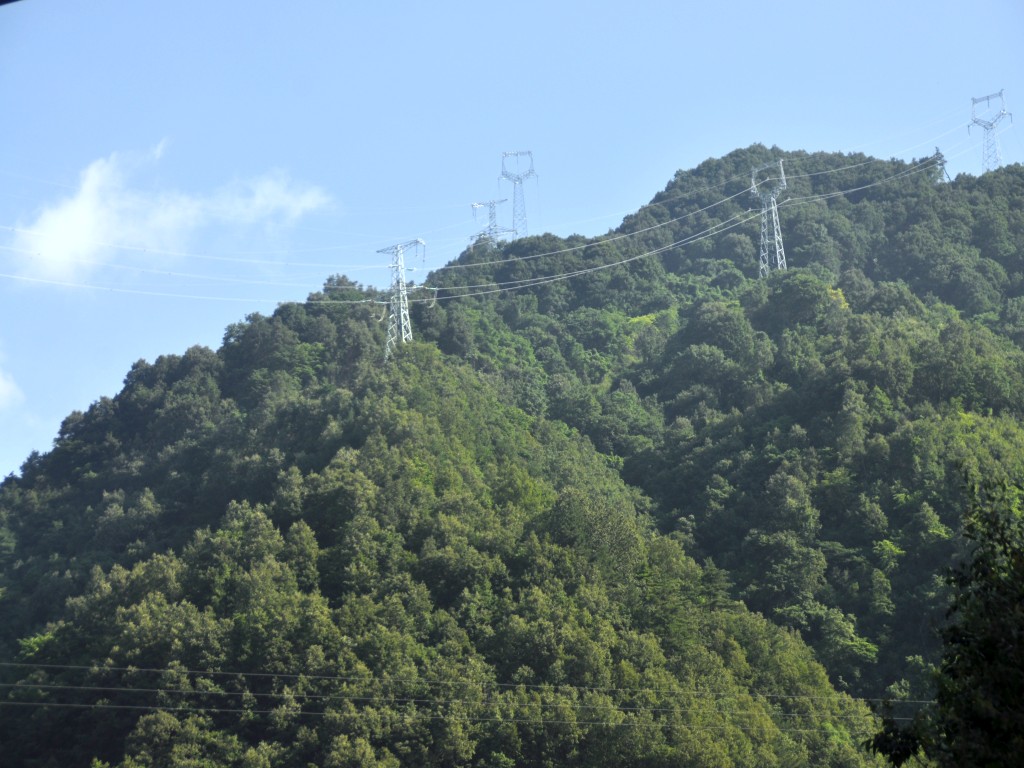 DSC_0154_conew1.jpg