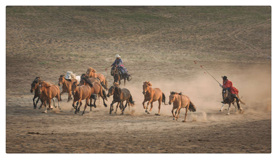 《牧马人》孙峰摄.jpg